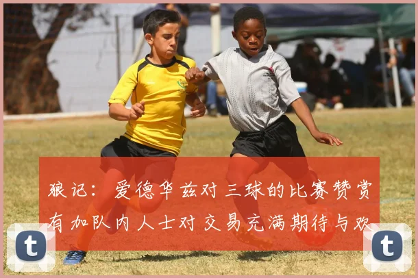 狼记：爱德华兹对三球的比赛赞赏有加队内人士对交易充满期待与欢欣