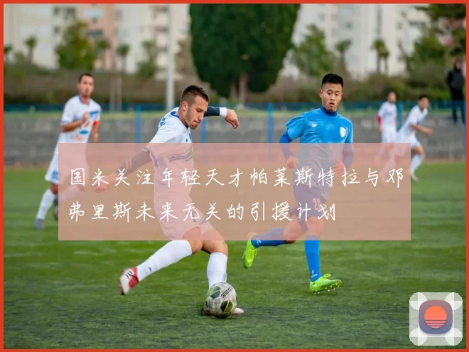 国米关注年轻天才帕莱斯特拉与邓弗里斯未来无关的引援计划