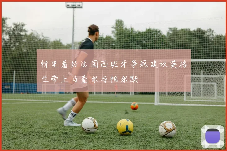 特里看好法国西班牙争冠建议英格兰带上马奎尔与帕尔默