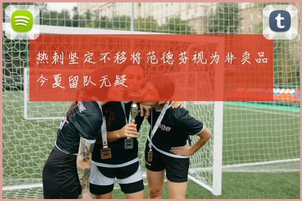 热刺坚定不移将范德芬视为非卖品今夏留队无疑
